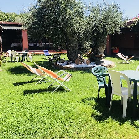 Loceri Agriturismo Su Barraccu מראה חיצוני תמונה