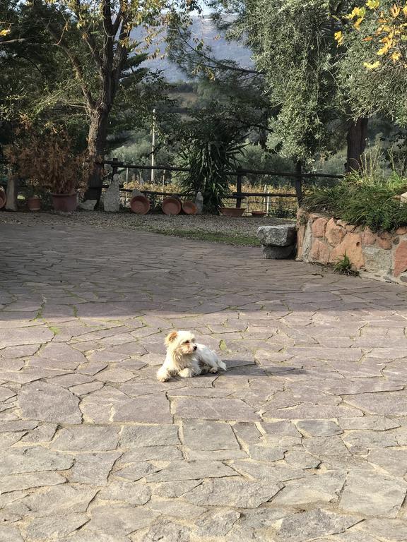 Loceri Agriturismo Su Barraccu מראה חיצוני תמונה