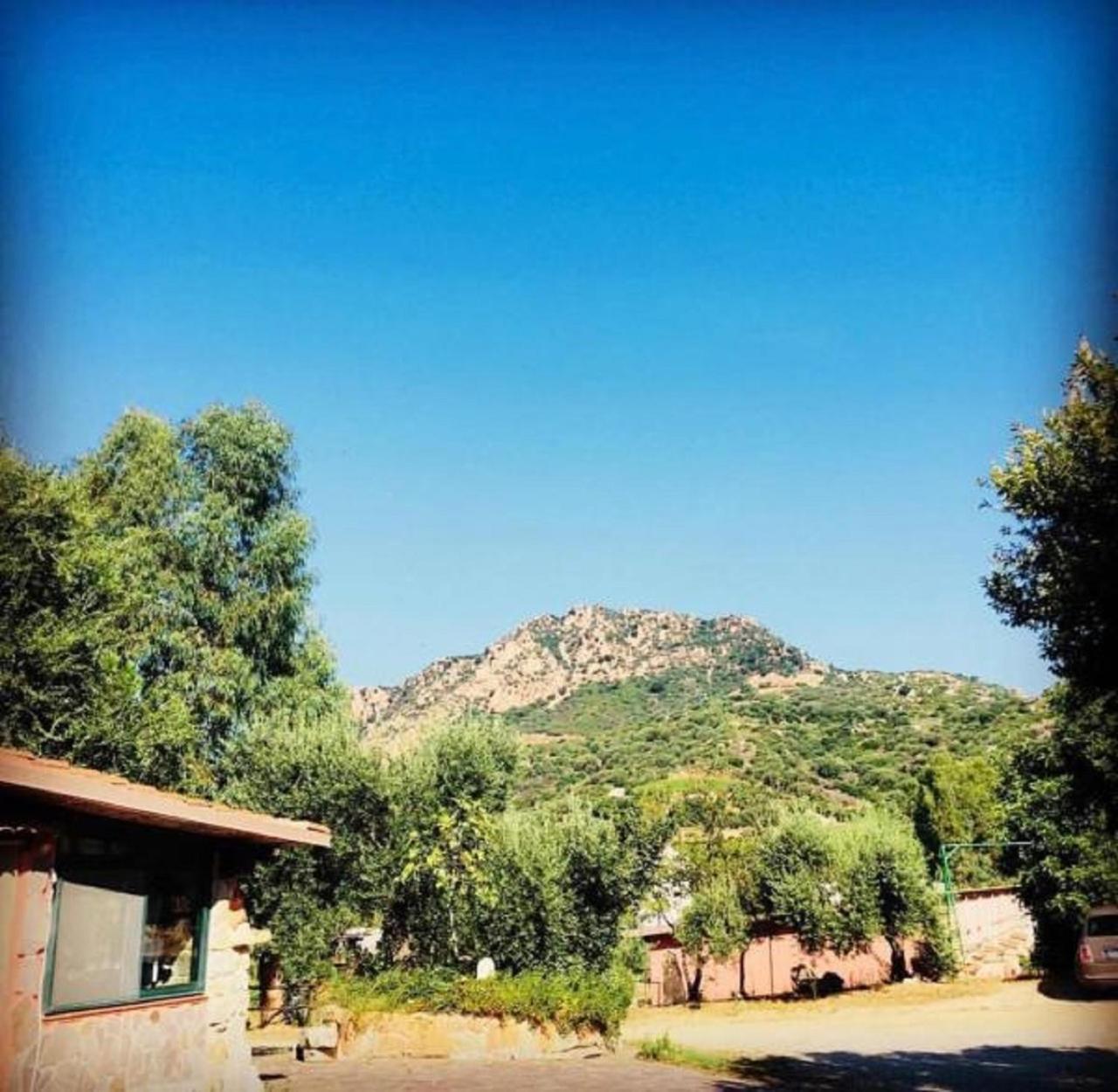 Loceri Agriturismo Su Barraccu מראה חיצוני תמונה