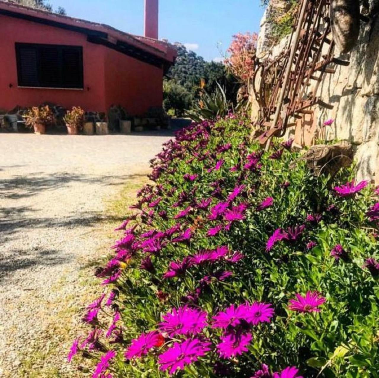 Loceri Agriturismo Su Barraccu מראה חיצוני תמונה